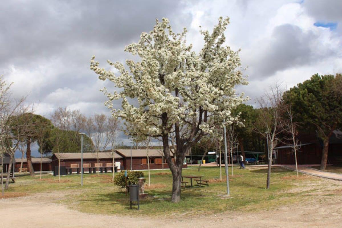 El espacio natural albergará durante algunos fines de semana del verano talleres, espectáculos, fiestas para toda la familia…