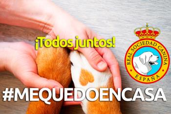 La asociación opina que durante el estado de alarma debemos sacarlos lo “estrictamente necesario”