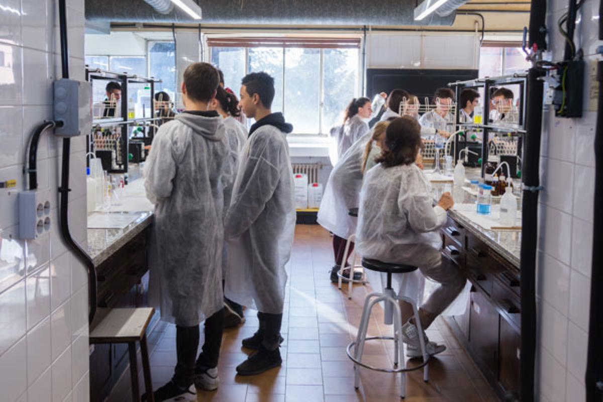 El evento se celebra del 4 al 17 de noviembre y ofrece más 1.000 actividades gratuitas relacionadas con la ciencia, tecnología e innovación 
