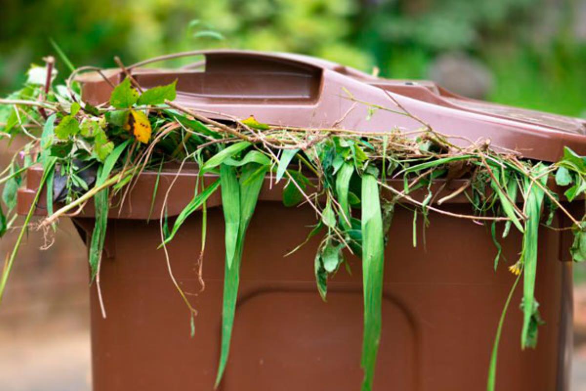 Con esta medida se pretende fomentar el reciclaje de residuos orgánicos