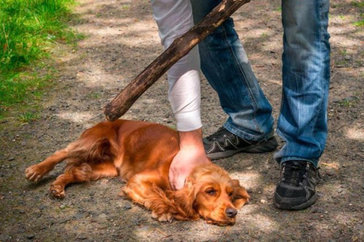 El Equipo Antón agradece la labor de la vecindad en su última actuación 