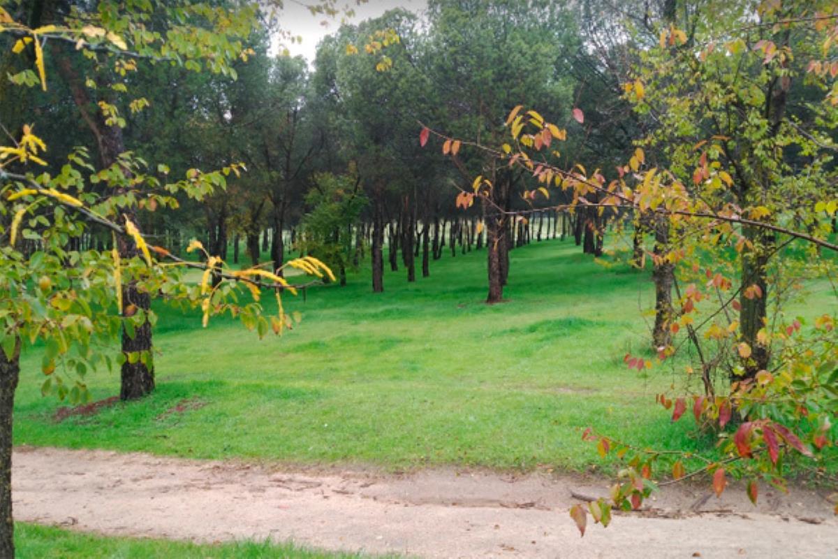 Estas actuaciones se harán mediante el desbroce mecanizado con tractor y desbroce manual