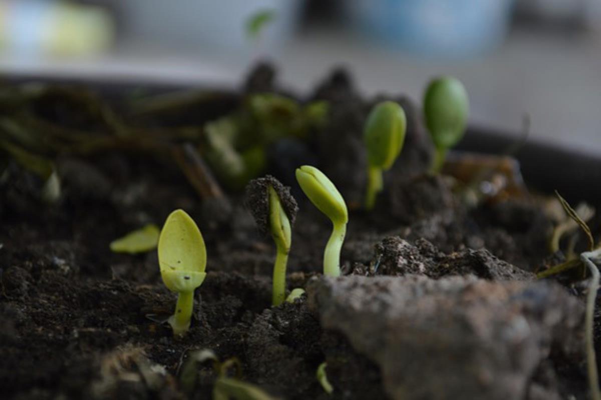 La planta municipal tratará alrededor de 22.000 toneladas de residuos orgánicos para darles un nuevo uso