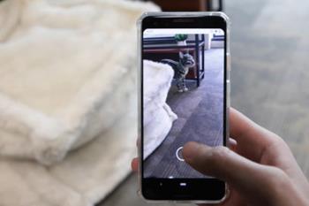 Con ARCore los elementos 3D se integran totalmente en el entorno real