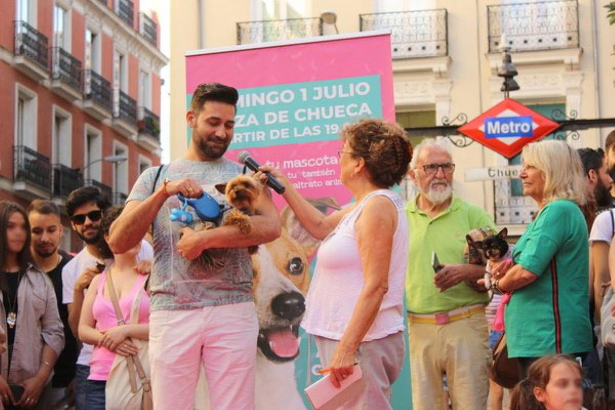 Una edición más la Asociación las Nieves junto con MADO y Fulanita de Tal organizan un desfile perruno para dar visibilidad al abandono y maltrato animal