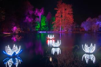 El Real Jardín Botánico de Madrid, se convierte estas navidades en el ‘Christmas Garden Madrid’