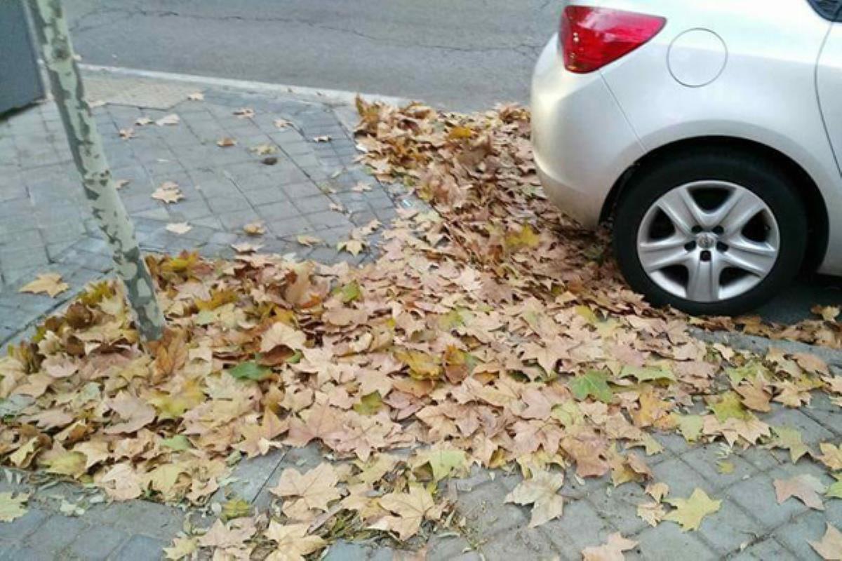 Los vecinos de la localidad denuncian que las aceras de sus barrios han quedado intransitables. Comenta la publicación con una foto de tu barrio si también se encuentra en el mismo estado