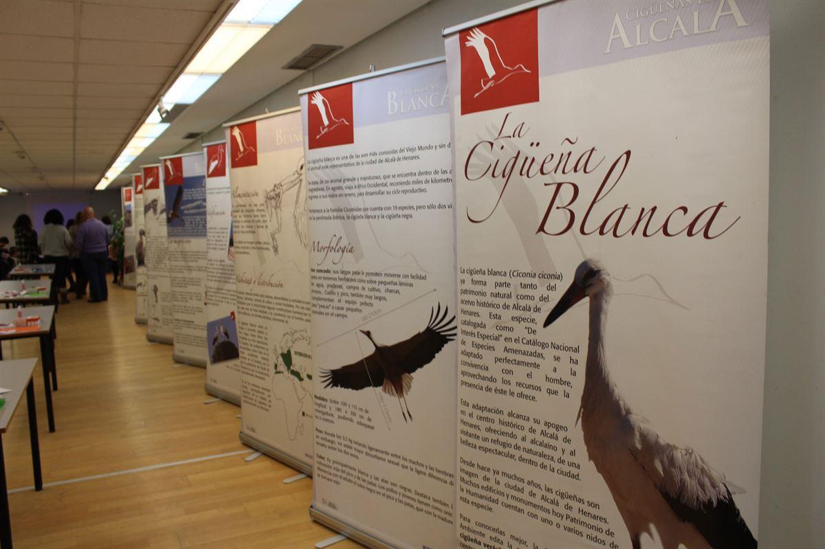 Del 5 al 16 de febrero podrá visitarse la muestra “Por San Blas, la cigüeña verás, cigüeña blanca en Alcalá de Henares”