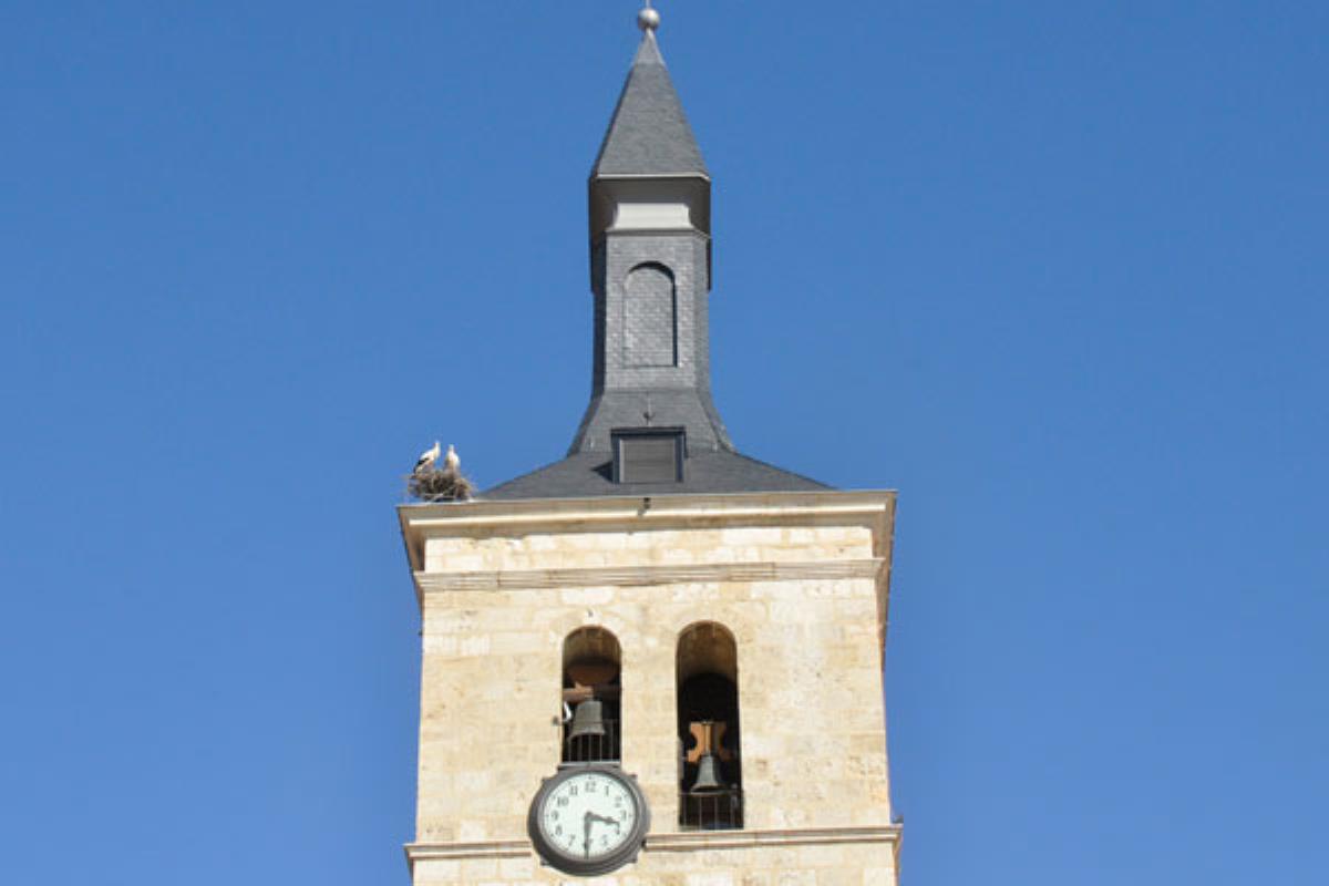 Una pareja anida en la torre de la iglesia San Juan Evangelista
