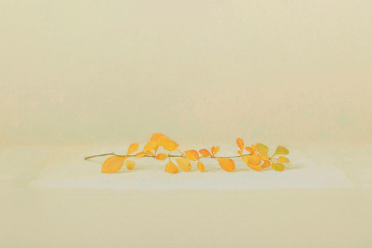 La exposición 'Recapitulación: Pintura y dibujo, 1995-2019' se podrá visitar en la sala José Saramago del 19 de diciembre al 31 de enero 