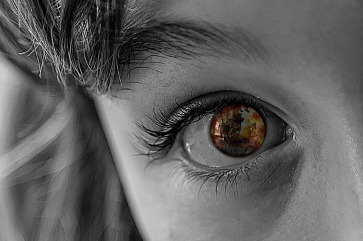 Más de 50 personas que han encontrado asilo gracias a Cruz Roja y mediante la colaboración entre el Gobierno central y el consistorio