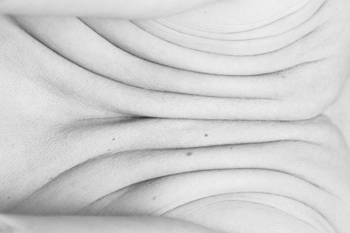 Partes de los cuerpos de doce personas en un intento de “descontextualización” del desnudo clásico