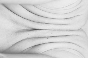 Partes de los cuerpos de doce personas en un intento de “descontextualización” del desnudo clásico