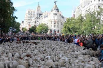 Varias manifestaciones, carreras, la Feria Outlet en Madrid y el Día de la Trashumancia, colapsarán el tráfico este fin de semana en la capital