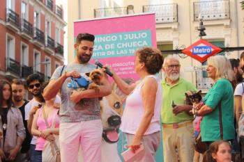 Una edición más la Asociación las Nieves junto con MADO y Fulanita de Tal organizan un desfile perruno para dar visibilidad al abandono y maltrato animal