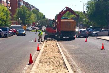 Alcobendas embellece estos espacios plantando árboles, flores de temporada y pequeños arbustos
