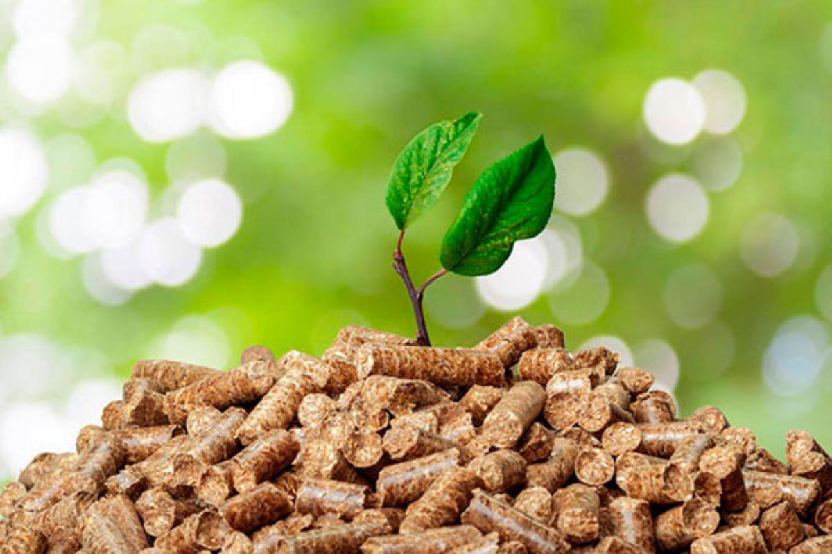 El municipio contará con redes de calor provenientes de biomasa y energía solar