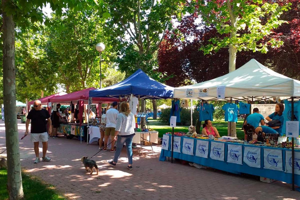 Más de 50 protectoras organizaron charlas, talleres y concursos caninos