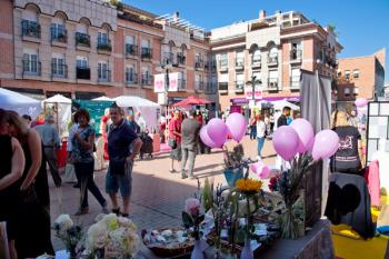 Se celebrará este miércoles en el Centro Municipal Las Dehesillas