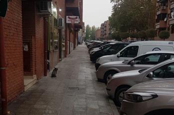 Limpieza intensiva en San Fernando de Henares
