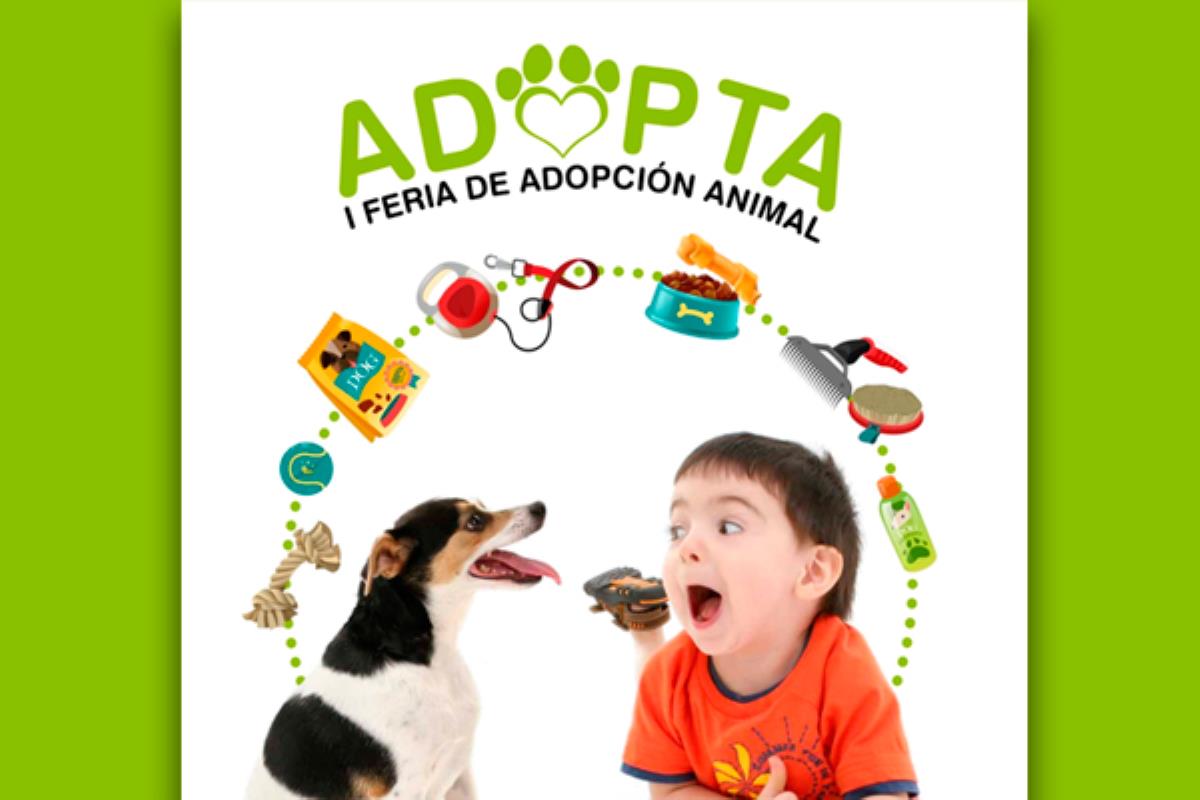 Este sábado la Plaza de la Juventud acoge esta feria solidaria