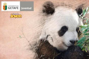 Los días 1 y 2 de septiembre, los vecinos getafenses disfrutarán de un precio especial en su entrada al ZOO AQUARIUM