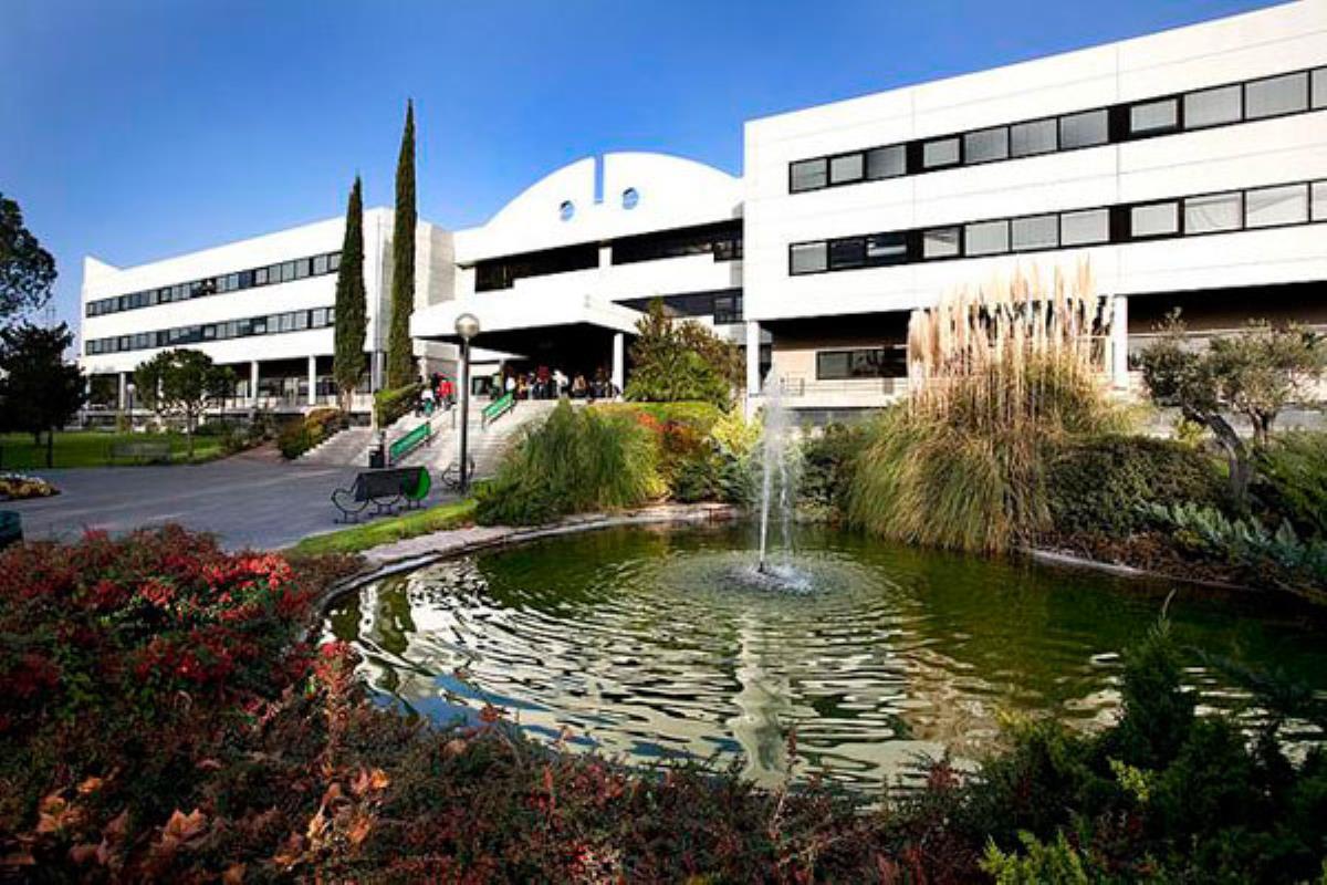 Los estudiantes pueden consultar el listado de adjudicatarios tras la resolución en la web municipal