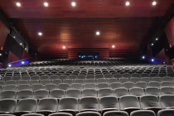 También se están buscando soluciones para los afectados por la cancelación de los cursos del Patronato de Cultura