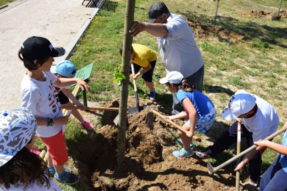 A través de esta acción se pretende concienciar sobre la importancia de árboles y plantas en el medio ambiente