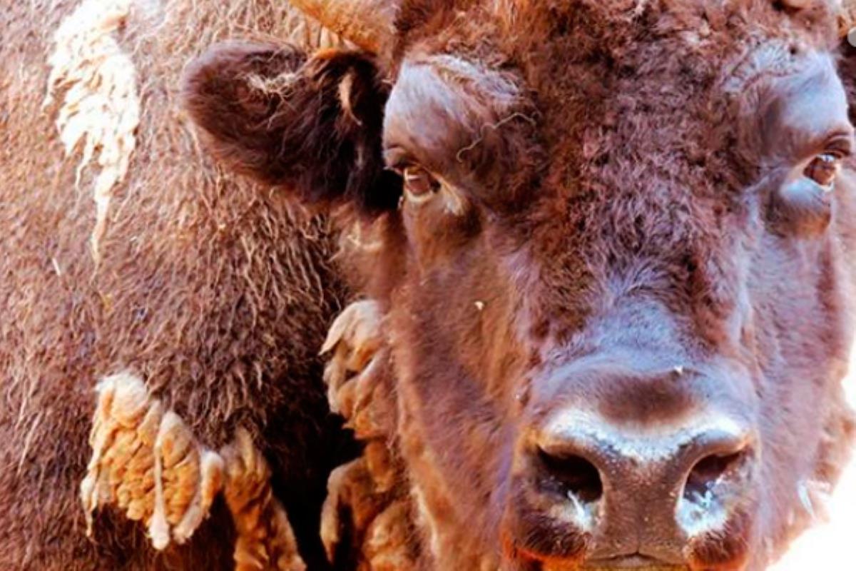 Despide el año con un descuento exclusivo solo para vecinos de Fuenlabrada