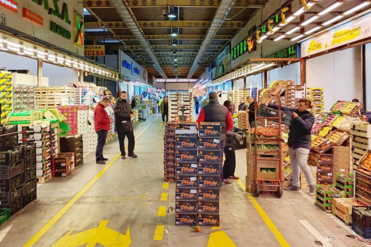 La asociación 'BUHO' comienza, este viernes, a colaborar con sus equipos de trabajo