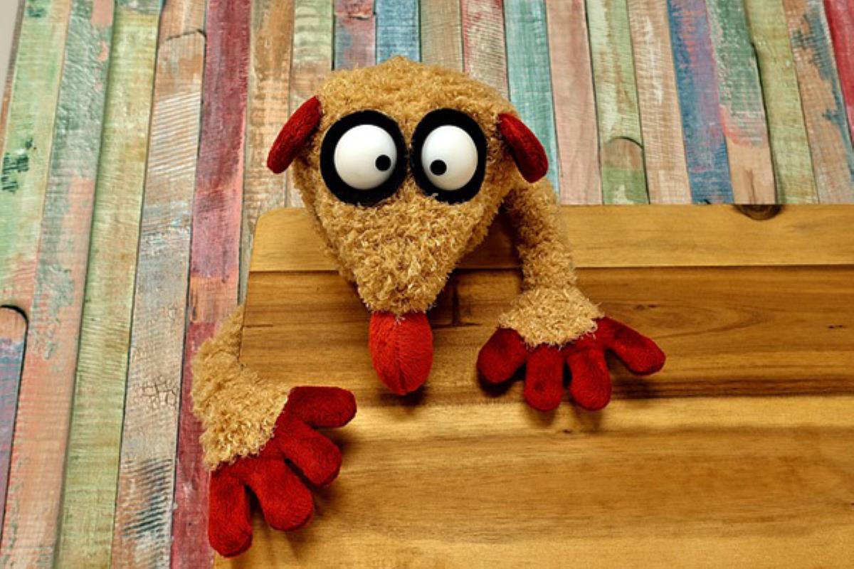 Te recordamos la programación de los Peque-Veranos para que no te pierdas nada