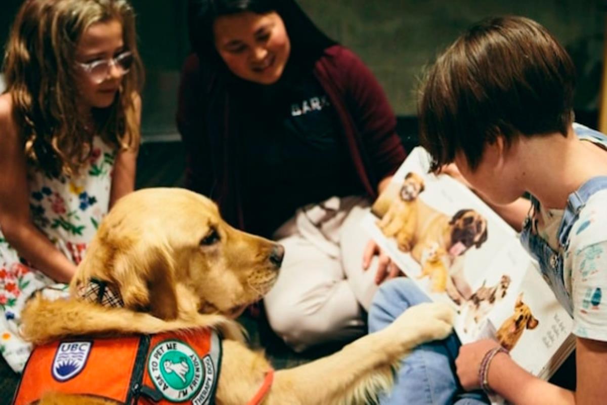La Universidad de Columbia Británica ha realizado un estudio que determina que las intervenciones con perros, mejoran el aprendizaje de los niños