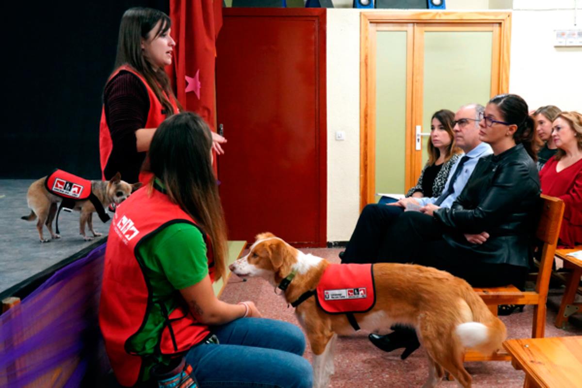 Uno de cada 160 niños padece un Trastorno del Espectro Autista, por ello el Consistorio lanza esta iniciativa