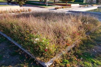 El PSOE insta al Gobierno a "preocuparse de la ciudadanía, cuidando y manteniendo las zonas verdes"