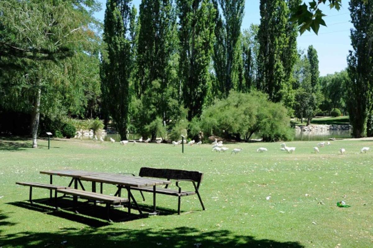 El Ayuntamiento ha aprobado la creación de los nuevos espacios para practicar deporte al aire libre