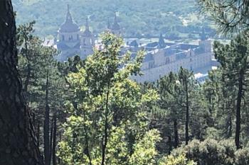 8 centros de Educación Ambiental (CEA) ofrecen sendas, talleres, visitas guiadas y actividades en grupo