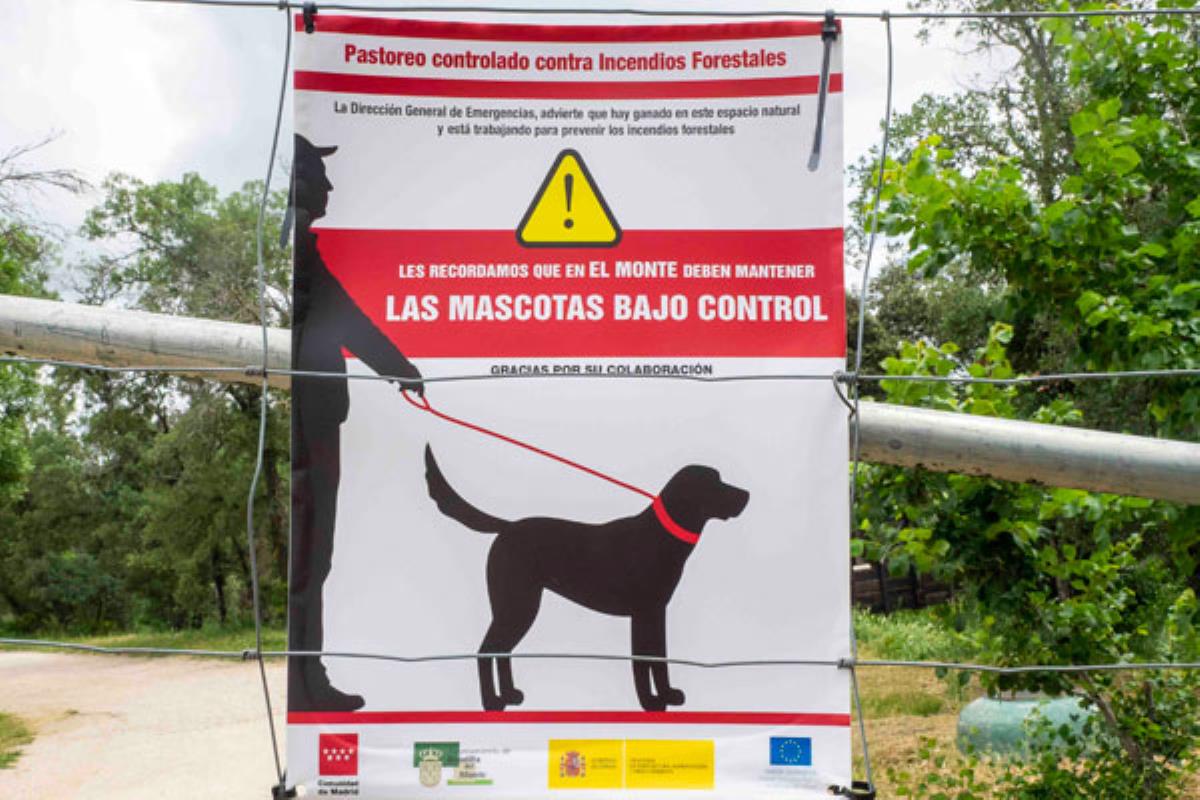 La presencia de estos animales perturba las labores de prevención de incendios que realiza el rebaño de ovejas