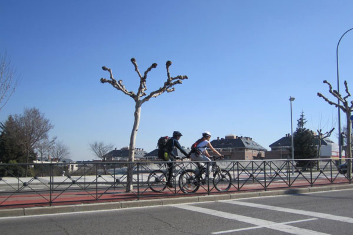 El Pleno aprueba una regulación para los nuevos vehículos compartidos y eléctricos que pueden circular en la ciudad