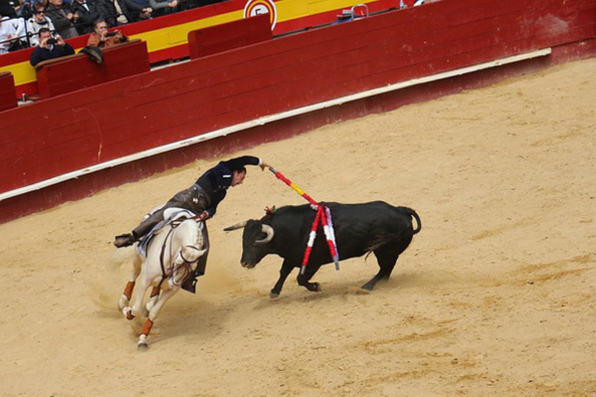 La concentración será el sábado 22 de junio de 12:00 a 13:30 horas