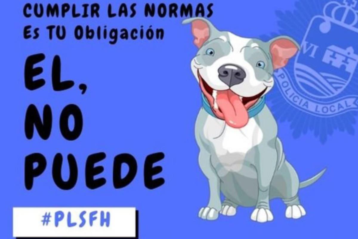 Las sanciones y la vigilancia se han incrementado