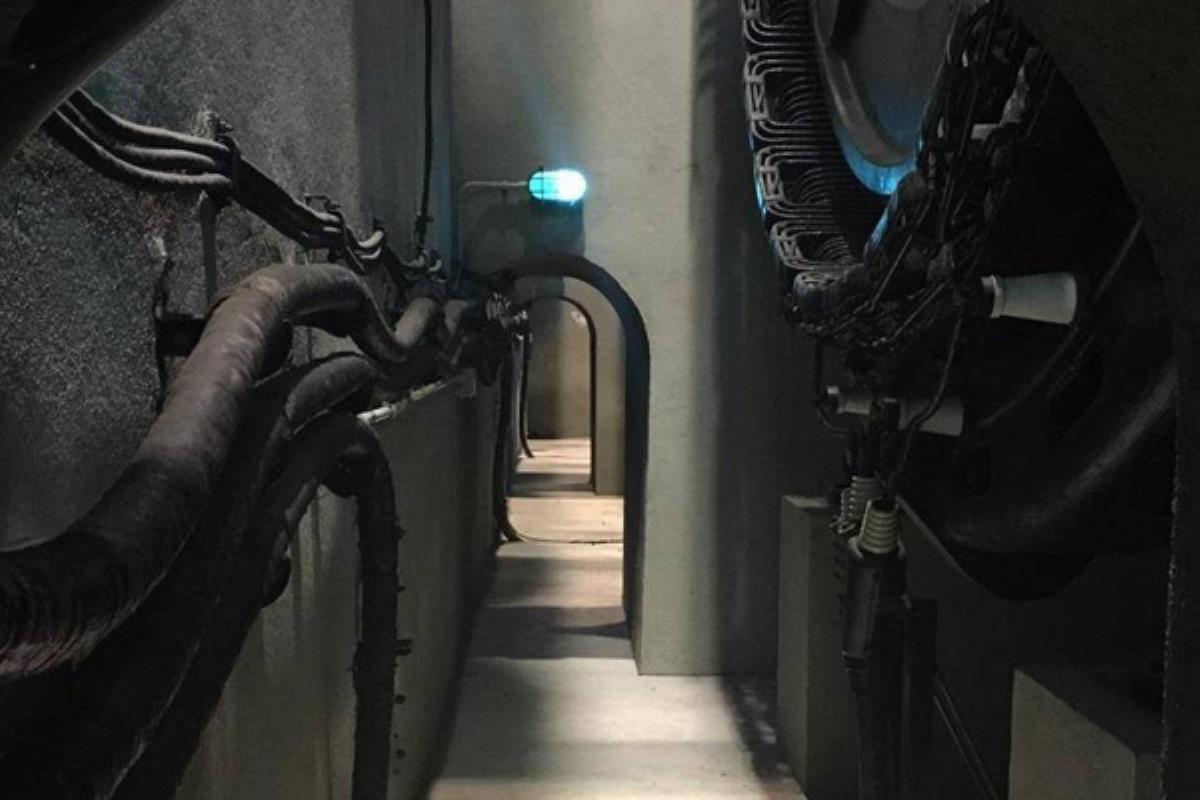 Estas visitan llegan después del éxito cosechado durante la exposición del centenario