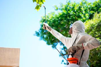 Desde hace varias semanas, el consistorio está inyectando insecticida a los árboles