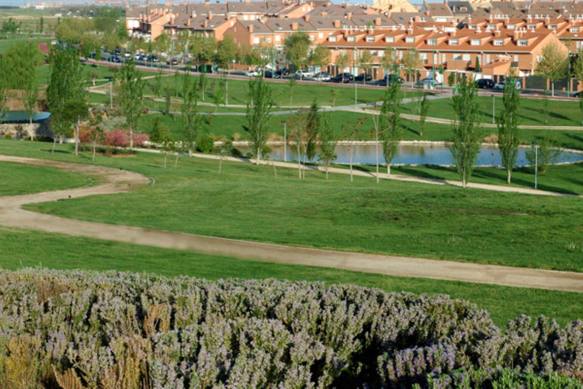 El consistorio pondrá en marcha una campaña de información sobre las medidas municipales