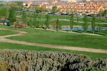 El consistorio pondrá en marcha una campaña de información sobre las medidas municipales