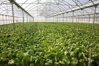 Además, se han colocado nueva señalización de rutas, paneles informativos sobre el agua y un mural decorativo en el acceso 