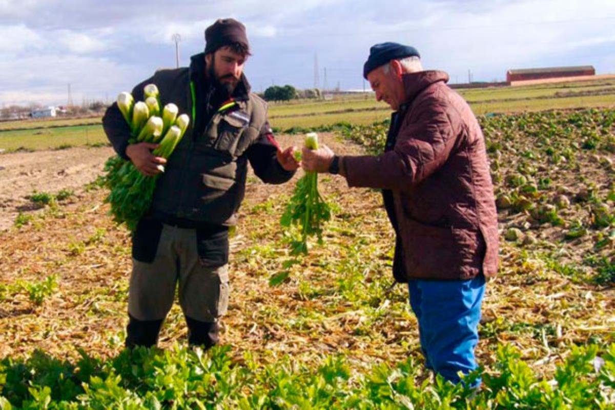 Esta formación es gratuita y constará tanto de teoría como de práctica