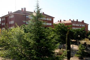 El grupo municipal socialista exige al Pleno que cumpla el acuerdo alcanzado en estos términos