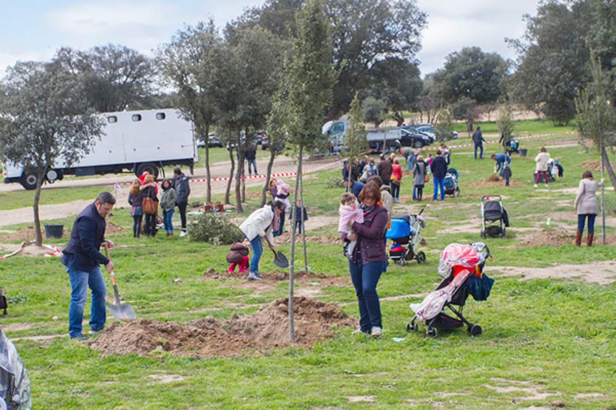 Boadilla del Monte promueve una nueva plantación de árboles en homenaje a nuestros bebés