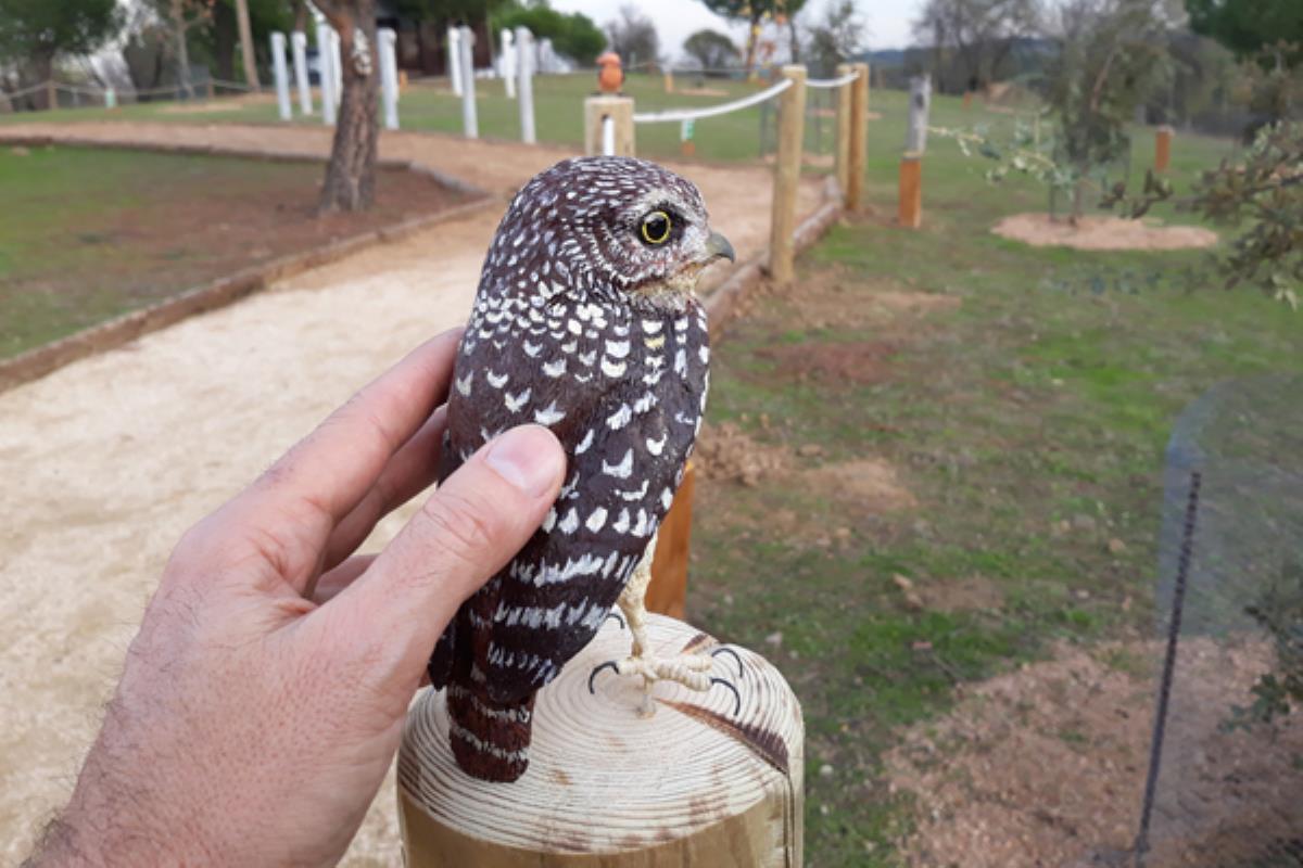 Estará incluida dentro del Aula de Educación Medioambiental de nuestra localidad